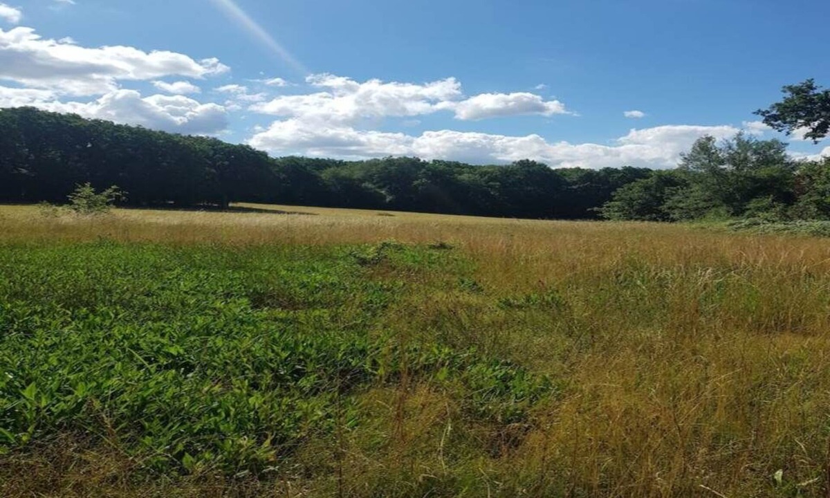 Vendenesse-sur-Arroux House | Magnificent Small 19th Century Manor
