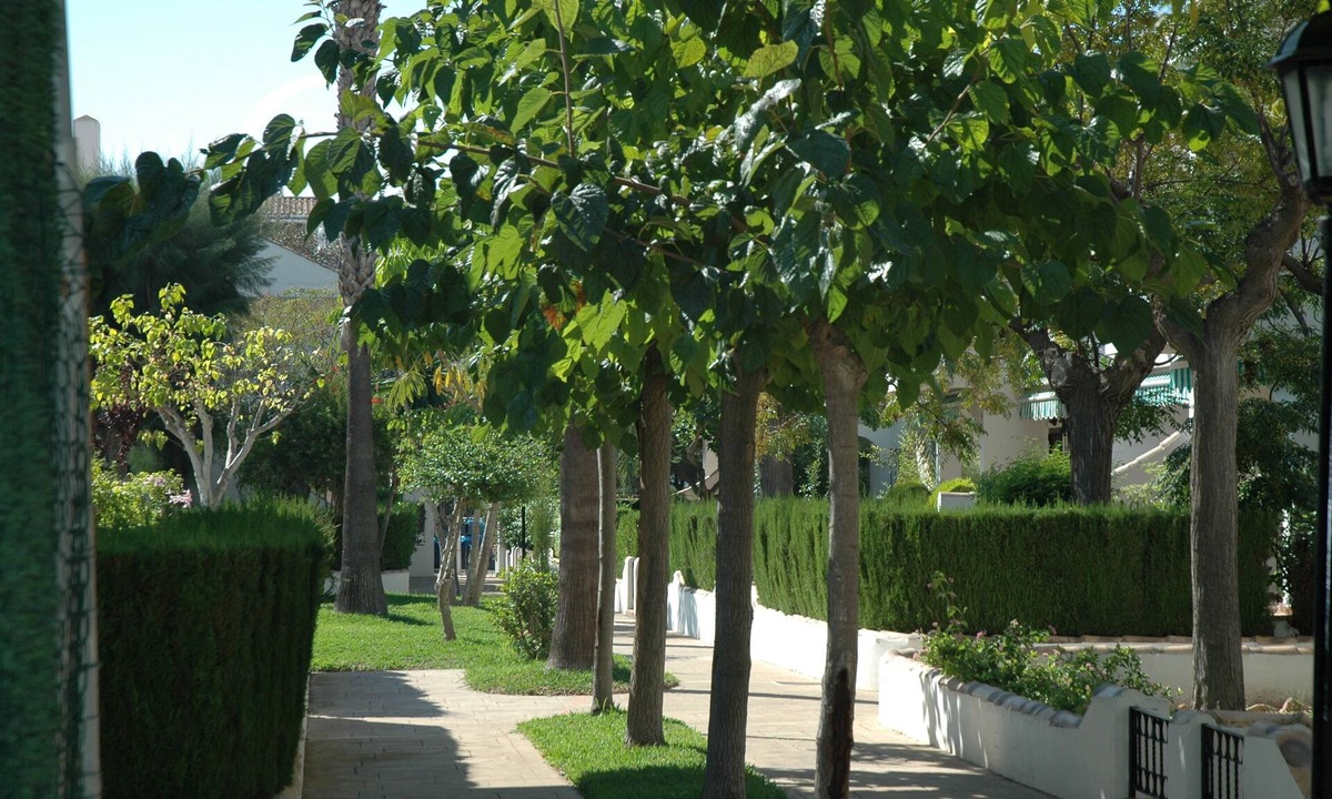 Torre de la Horadada House | MAGNIFICENT 3 BR. DUPLEX.
