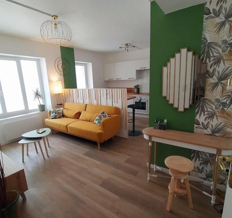 Limoux Apartment | Magnifique T3 centre ville avec WIFI RDC