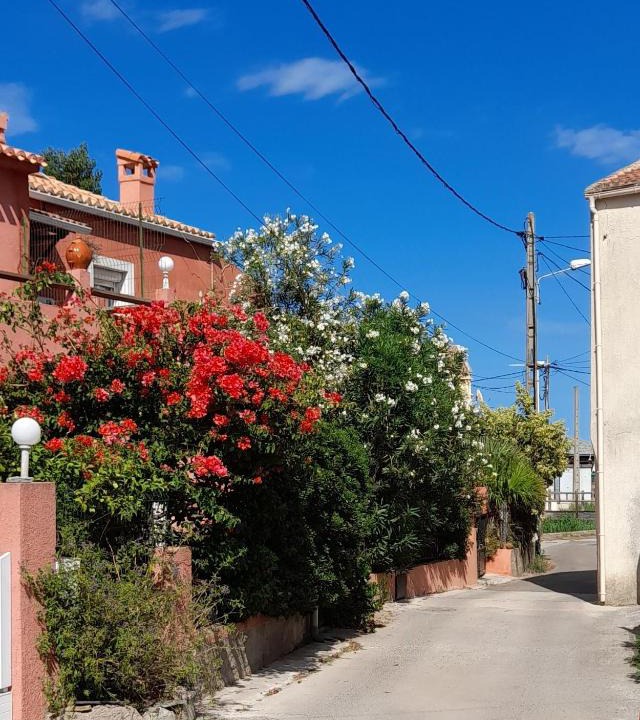 Macinaggio House | Magninca 2