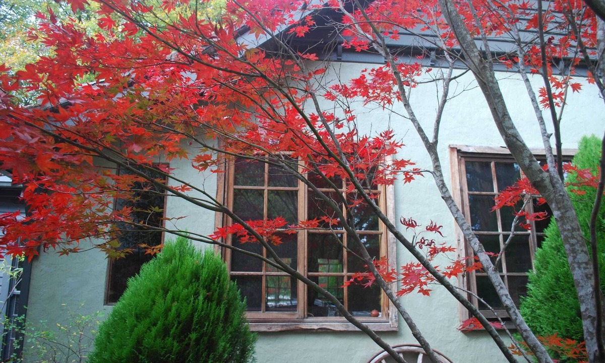 Olinda Apartment | Magnolia - 2 Perrins Creek Rd Olinda