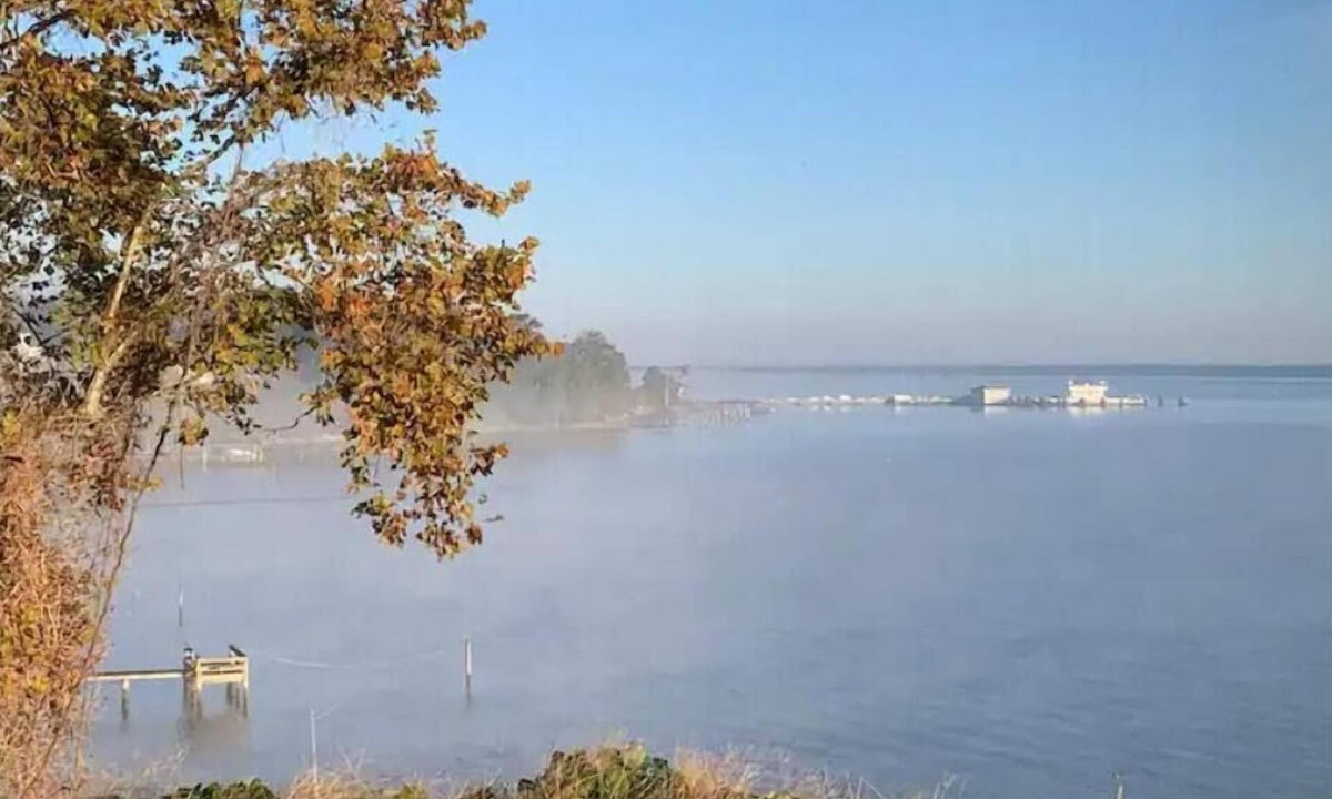 Surry Cottage | “Magnolia Cottage” on the River