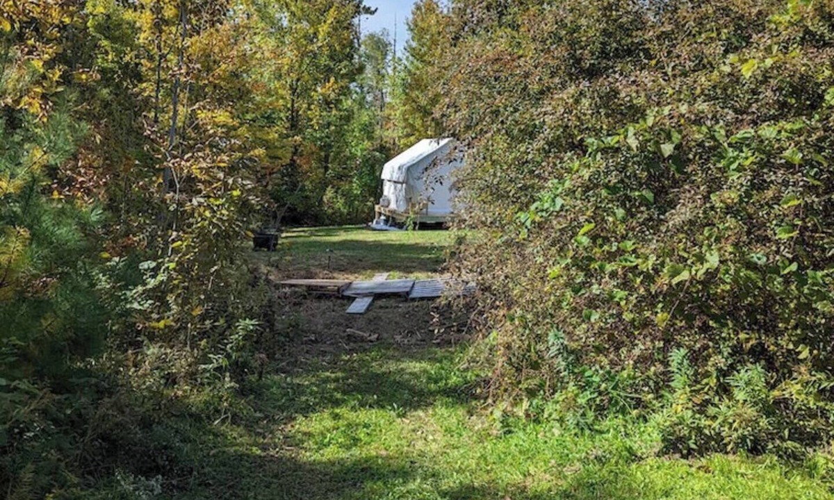 Elkins RV Rental | Main Street Meadows Tenting Site