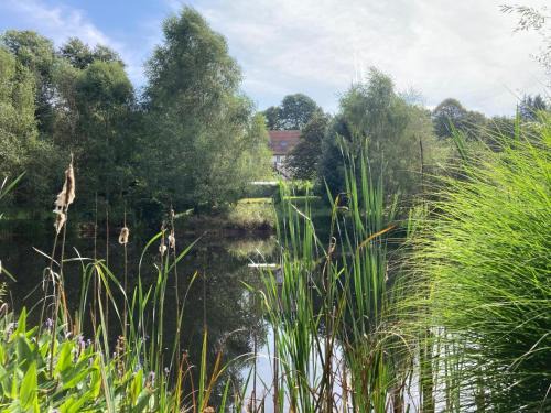 Royere-de-Vassiviere Bed & Breakfast | Maison Équilibre