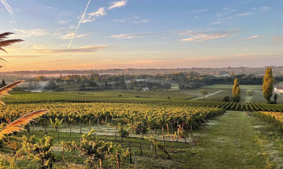 Montagne House | Maison 2 chambres, proche saint Emilion