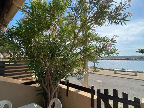 Port-la-Nouvelle House | Maison 2 pièces, cabine, 6 pers, plage à 400m, parking, terrasse - FR-1-229C-187