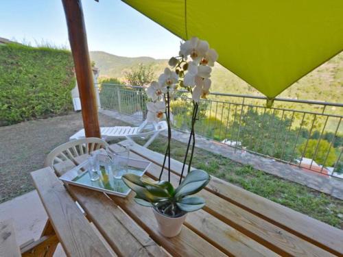 Saint-Rome-de-Tarn Other | Maison 45m², Terrasse, Pour 6 Personnes - API-1-52-1033