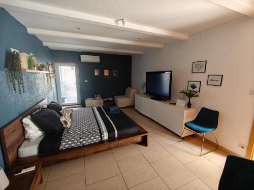 Saint-Louis Villa | Maison 5 chambres proche Basel Germany