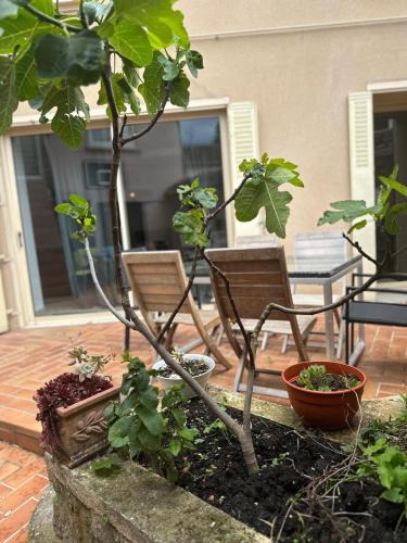 Bourgoin-Jallieu House | Maison 6 ch avec jacuzzi hyper centre Terrasse