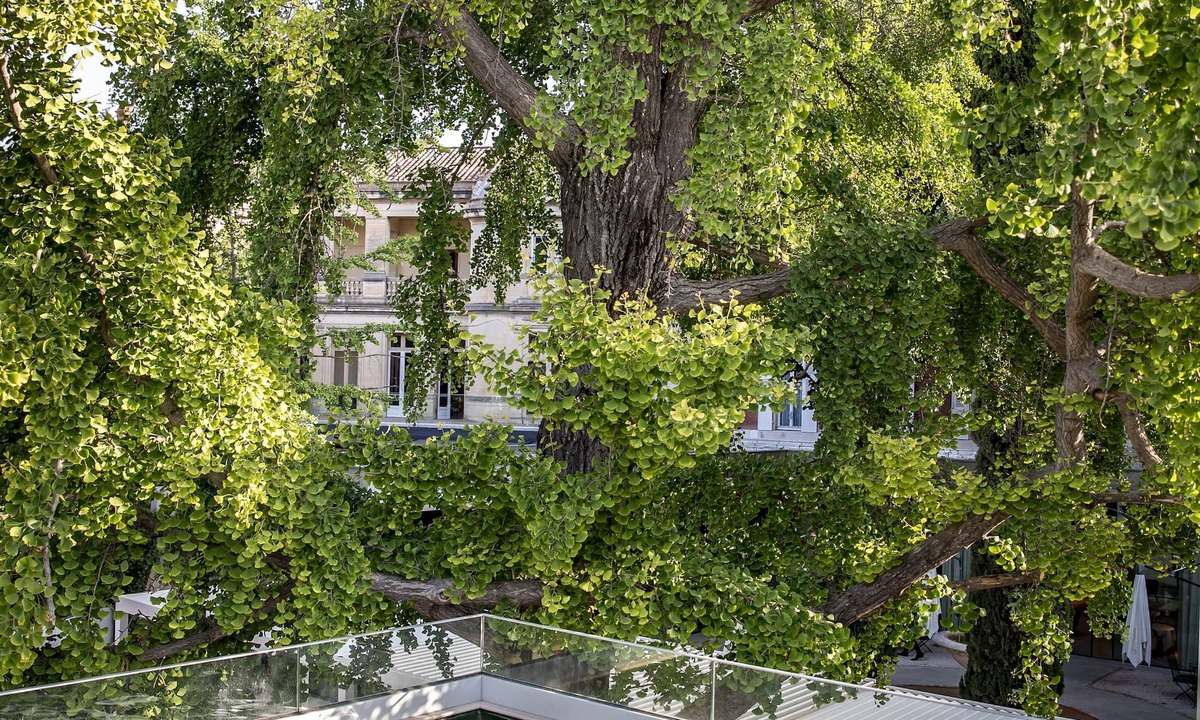 Nimes City Centre Hotel | Maison Albar Hotels L'Imperator