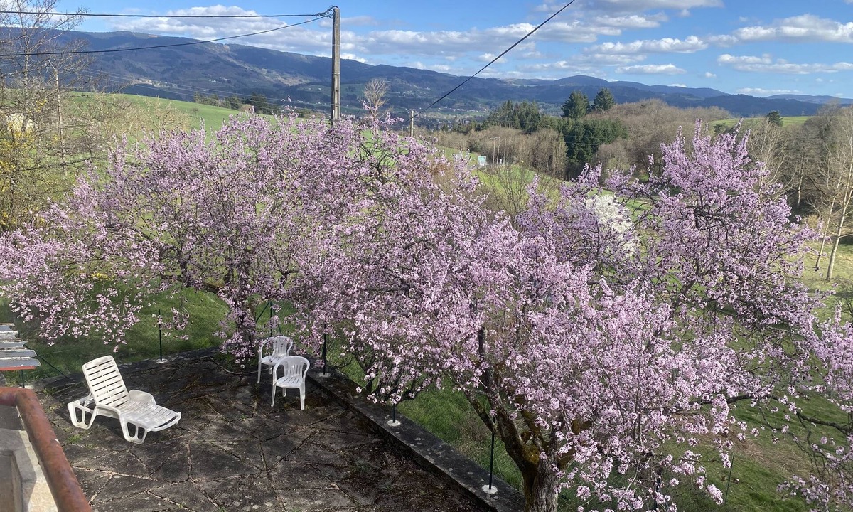Ambert House | Maison au Calme
