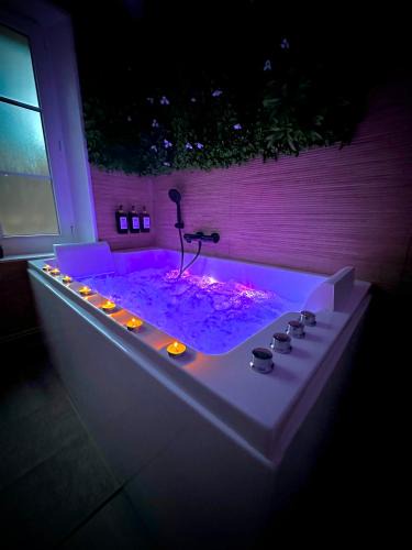 Dammartin-en-Goele Apartment | Maison avec jacuzzi proche aéroport CDG et Astérix