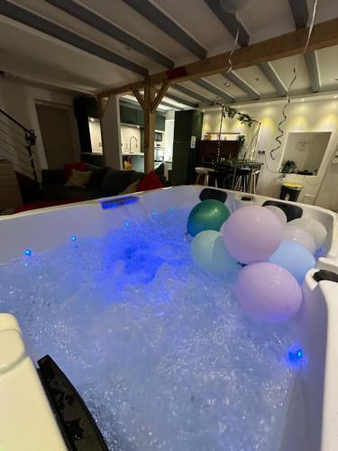 Maisdon-sur-Sevre Apartment | Maison avec jacuzzi