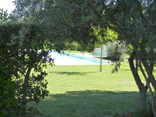 Loriol-du-Comtat House | Maison cosy au coeur de la Provence