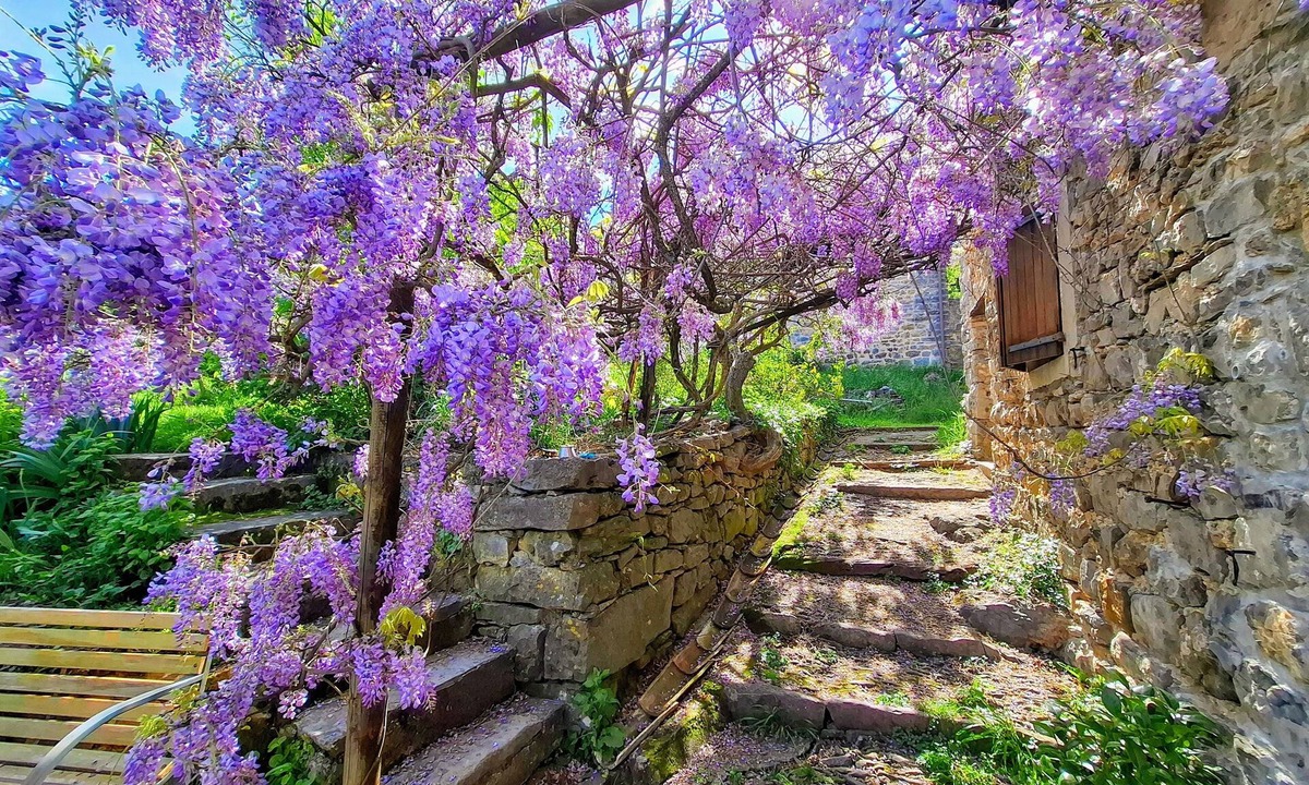 Cros House | Maison d'hôtes - Mas de Boissière