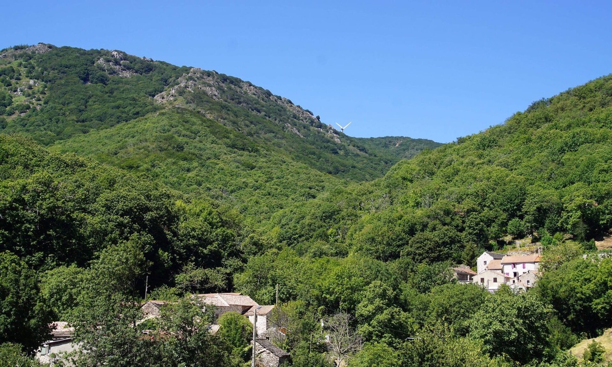 Fraisse-sur-Agout Villa | Maison Dans Hauts Cantons à Fraisse sur Agout