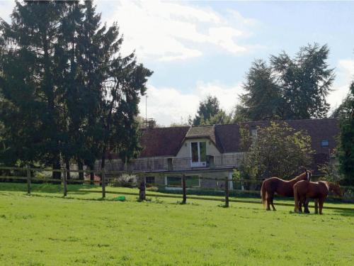 Radon House | Maison dans la forêt d'Écouves avec WIFI et animaux acceptés - FR-1-497-111