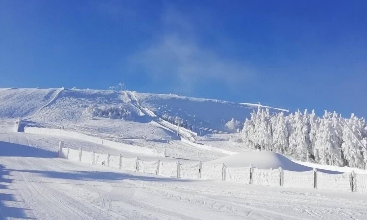 Chalmazel-Jeansagniere House | Maison de la forêt magique
