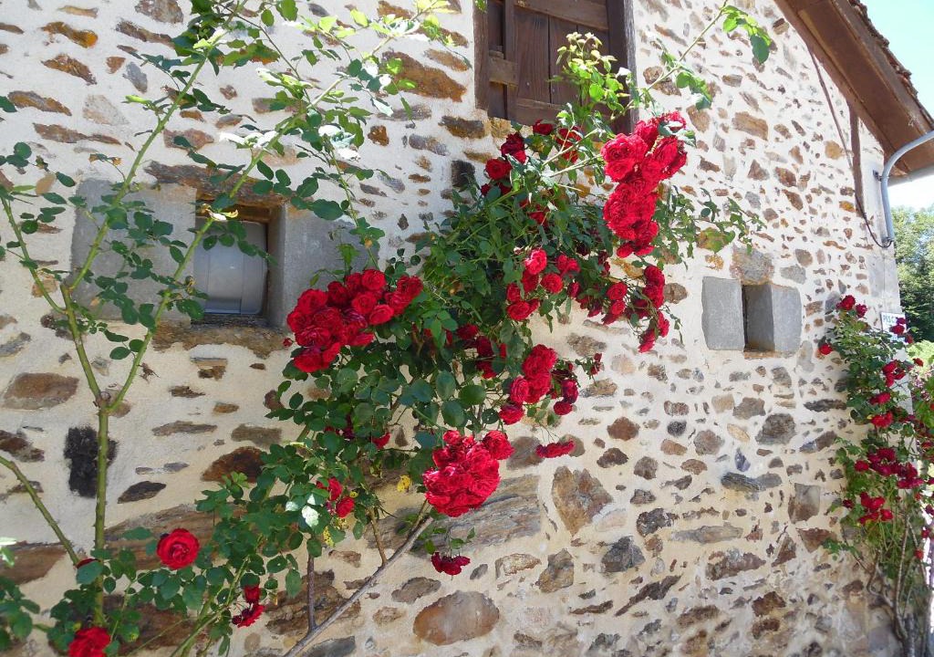 Sousceyrac House | Maison de Vacances Le Ranfort