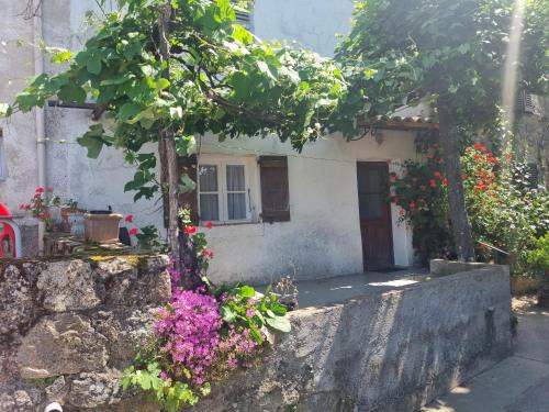 Carbuccia House | maison de village