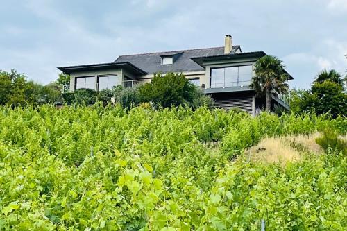 Loire Layon Aubance Villa | Maison des Coteaux blancs