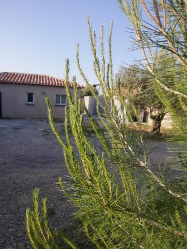 Magalas House | Maison du causse