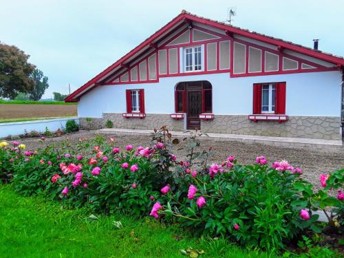 Larbey House | Maison du Coucou