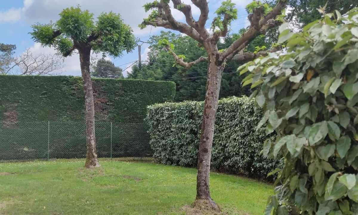 Parleboscq House | Maison en Campagne Landaise