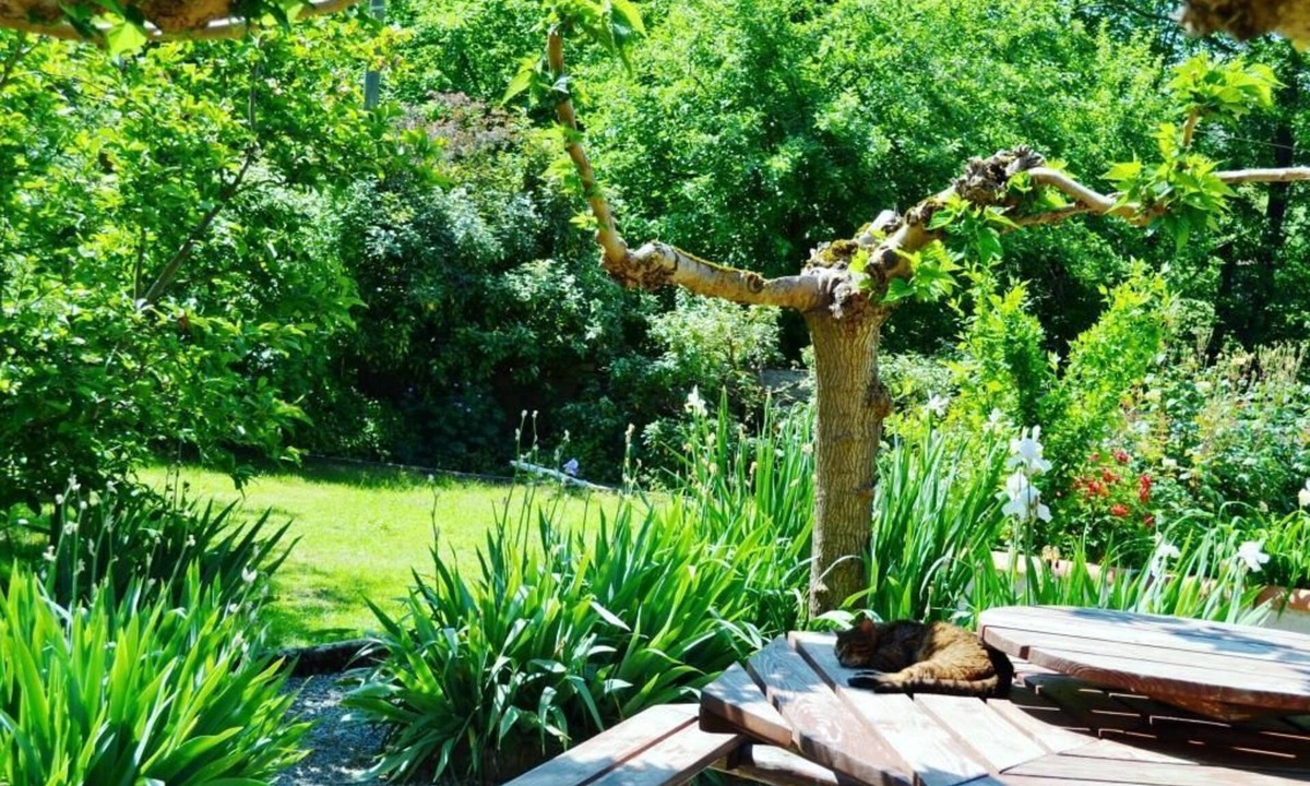 Biert Bed & Breakfast | Maison Esmeralda