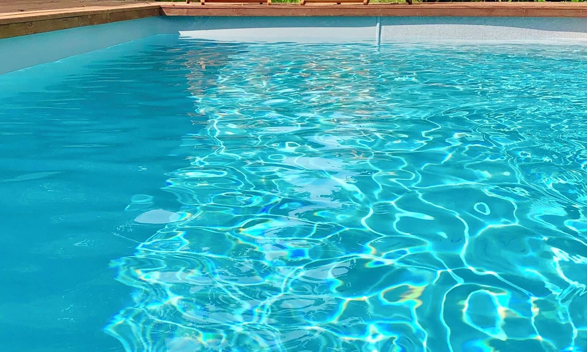 Saint-Ciers-sur-Gironde House | Maison et table d'hôtes le Camélia Blanc