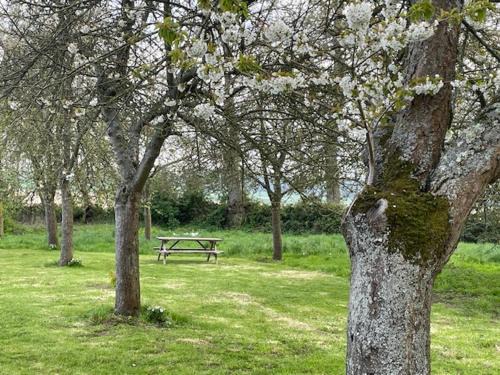 Ouainville House | maison familiale dans le pays de caux en Normandie