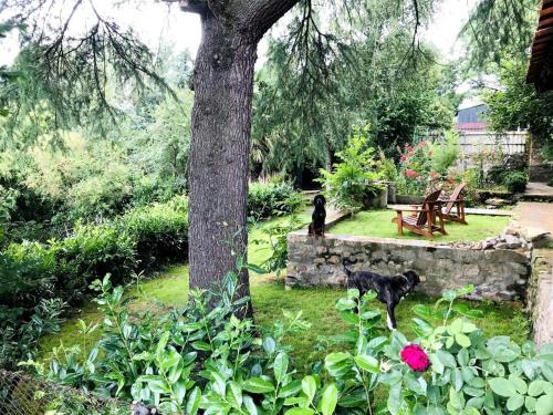 La Boissiere-de-Montaigu Bed & Breakfast | Maison l'or du temps, chambres d'hôtes