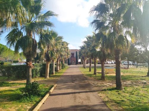 Aubais House | Maison L'olivier