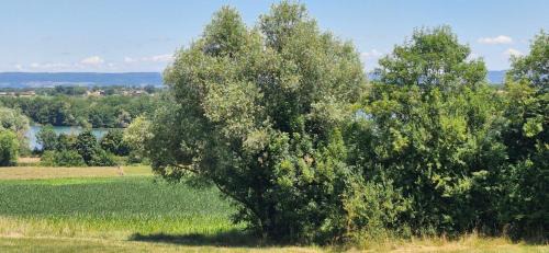 Jayat House | Maison les berges du lac