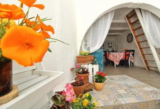 Olonzac House | Maison Libellule Olonzac