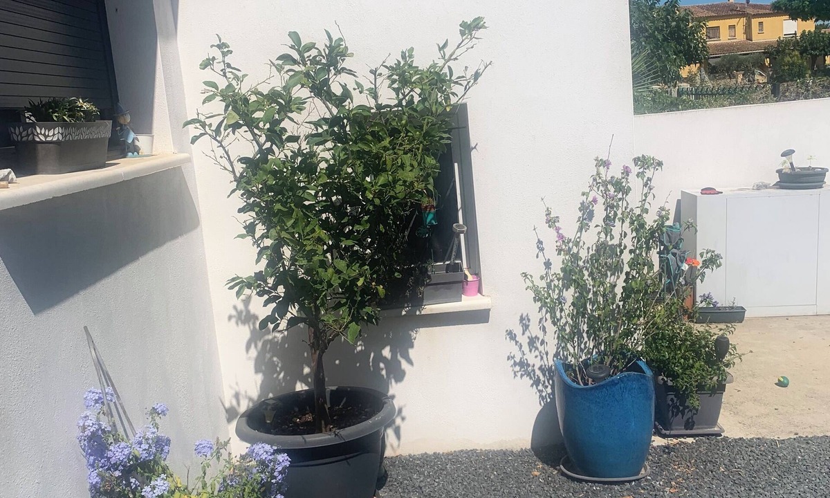 Lunel-Viel House | Maison Moderne à 15 mn des Plages