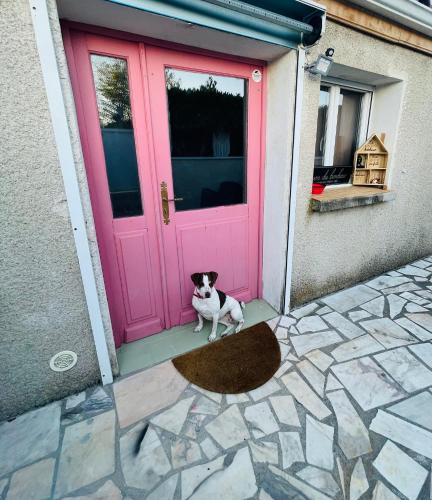 Vieille-Brioude House | Maison n2 Donasete T1
