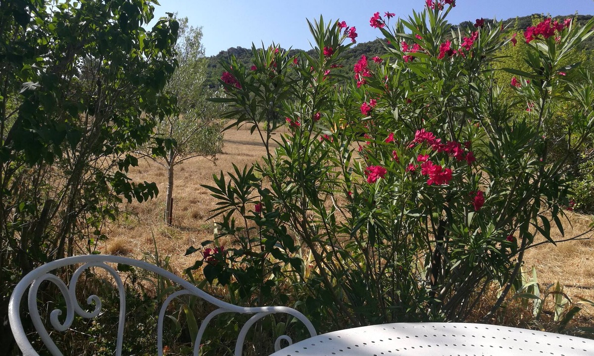 Aumelas House | Maison Nichée au Cœur de la Garrigue