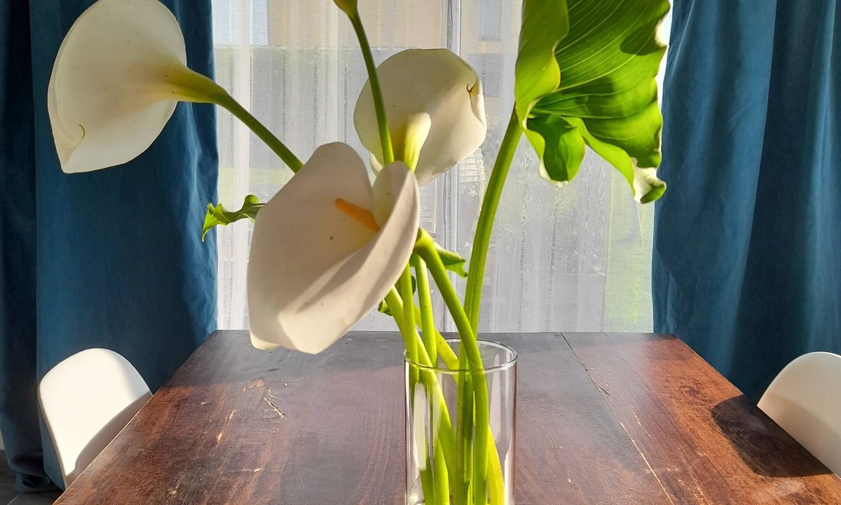 Lanvallay House | Maison Proche du Port de Dinan