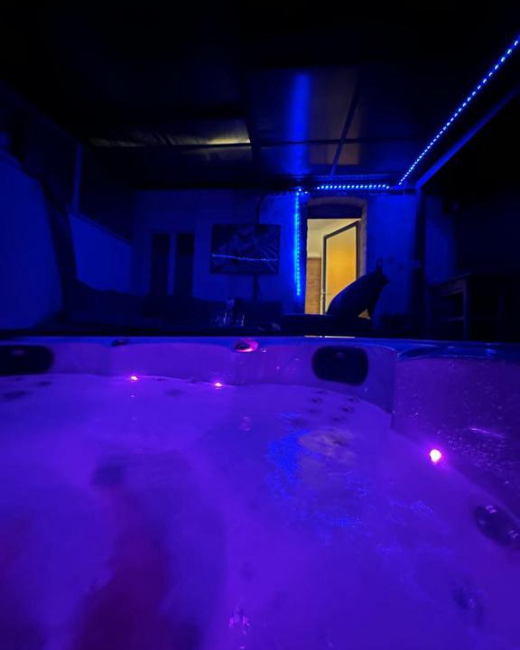 Le Fief-Sauvin House | Maison spa relaxing
