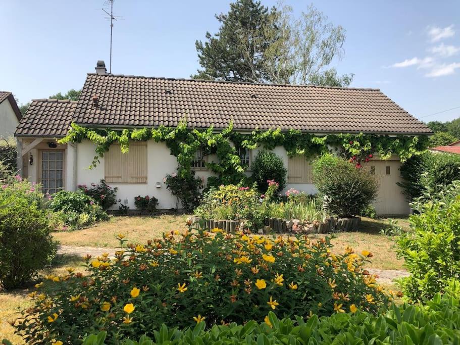 Saint-Florent House | Maison St Florent