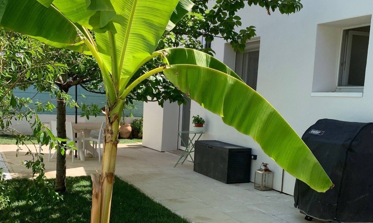 Saint-Martin Cabin | Maison T4 Clim Jardin et Jacuzzi à Montpellier sud