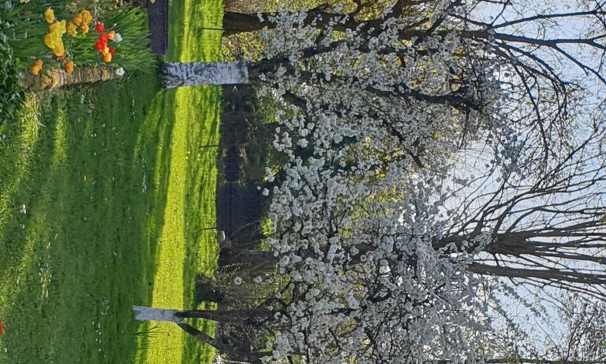 Pesmes House | Maison theuriot By the river