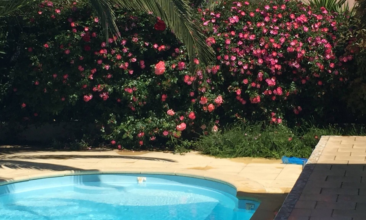 Saint-Cyprien Plage House | MAISON VILLA tous cft * 6 à 12 pers piscine ch à 300 m des plages lagons