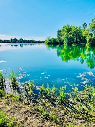 Izon Apartment | Maisonnette du lac - 40m2 climatisé et son Jardin privé Proche Bordeaux