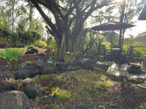 Mountain View House | Majestic Banya tree cabin