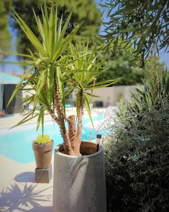 Boujan-sur-Libron Apartment | Majopau
