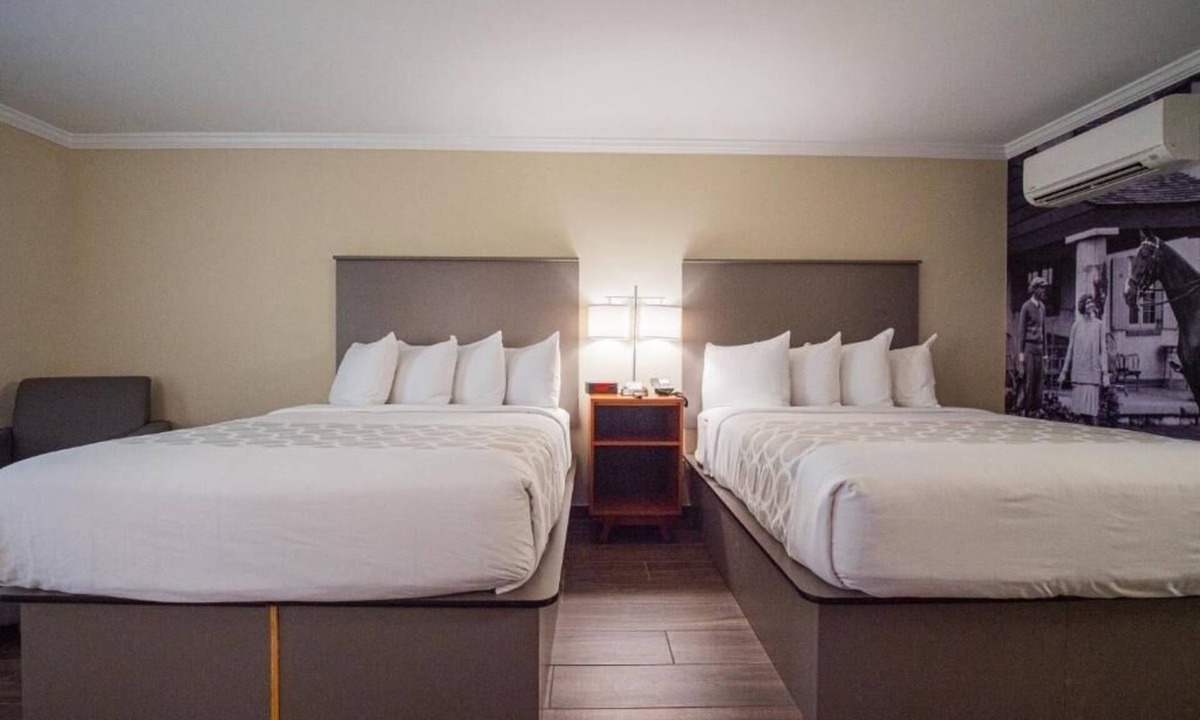 Ocala Hotel | Make Your Trip More Enjoyable! Pets Allowed, Onsite Pool, Free Breakfast