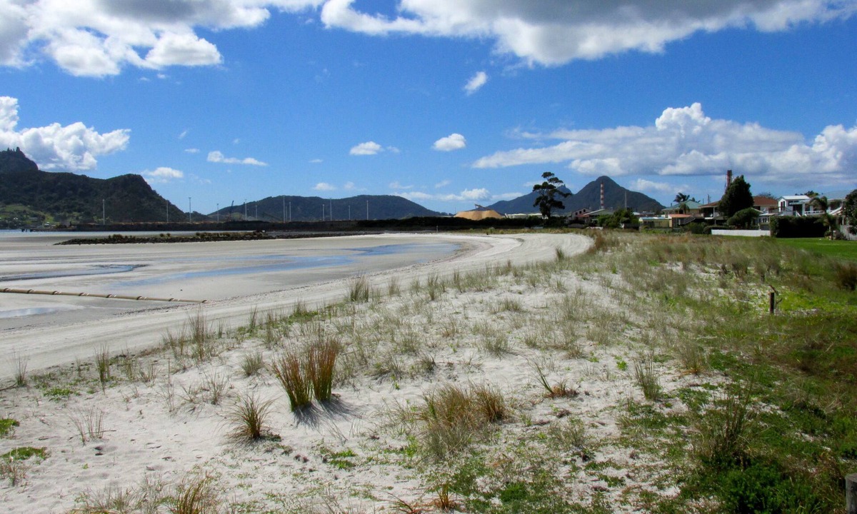 One Tree Point Cottage | Manaia View Bach - One Tree Point Bach