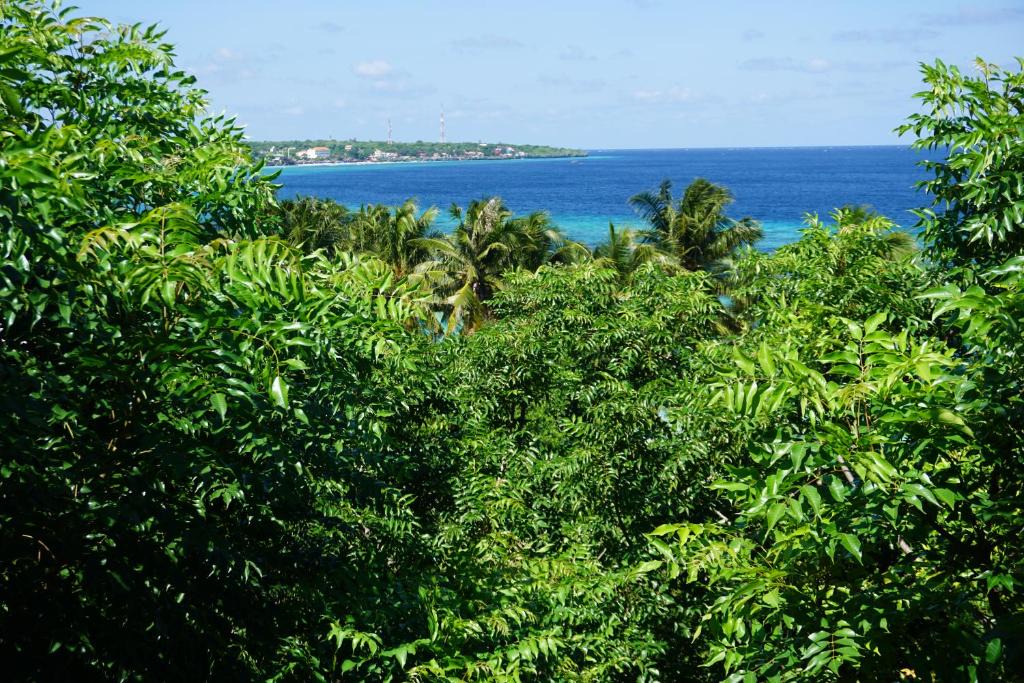 Bira Resort | Mangga Lodge